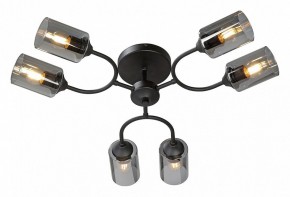 Потолочная люстра Vitaluce V2823 V2823-1/6PL в Нижневартовске - nizhnevartovsk.mebel24.online | фото 2