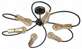 Потолочная люстра Vitaluce V3076 V3076-1/6PL в Нижневартовске - nizhnevartovsk.mebel24.online | фото