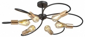 Потолочная люстра Vitaluce V3076 V3076-1/6PL в Нижневартовске - nizhnevartovsk.mebel24.online | фото 3