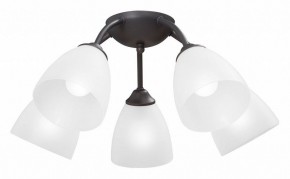 Потолочная люстра Vitaluce V3184 V3737-2/5PL в Нижневартовске - nizhnevartovsk.mebel24.online | фото