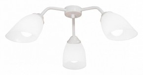 Потолочная люстра Vitaluce V31950 V31950/3PL в Нижневартовске - nizhnevartovsk.mebel24.online | фото