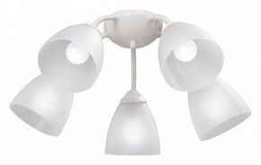 Потолочная люстра Vitaluce V3737 V3737-0/5PL в Нижневартовске - nizhnevartovsk.mebel24.online | фото