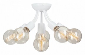 Потолочная люстра Vitaluce V3927 V3927-0/6PL в Нижневартовске - nizhnevartovsk.mebel24.online | фото