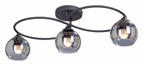 Потолочная люстра Vitaluce  V4965-1/3PL в Нижневартовске - nizhnevartovsk.mebel24.online | фото