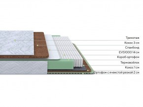 PROxSON Матрас Green Duo M/F (Tricotage Dream) 120x190 в Нижневартовске - nizhnevartovsk.mebel24.online | фото 2