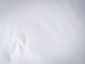 PROxSON Подушка Terra Duo (Сатин Ткань) 50x70 в Нижневартовске - nizhnevartovsk.mebel24.online | фото 9