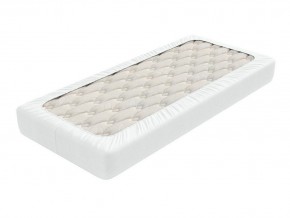 PROxSON Защитный чехол Aqua Save Light S (Ткань влагостойкая Tencel Jersey) 200x200 в Нижневартовске - nizhnevartovsk.mebel24.online | фото 2