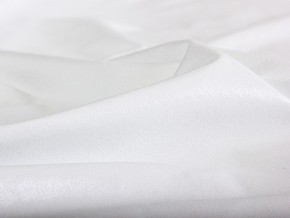 PROxSON Защитный чехол Aqua Save Light Top (Ткань влагостойкая Tencel Jersey) 160x200 в Нижневартовске - nizhnevartovsk.mebel24.online | фото 5