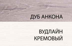 Шкаф 1DZ, OLIVIA, цвет вудлайн крем/дуб анкона в Нижневартовске - nizhnevartovsk.mebel24.online | фото 3