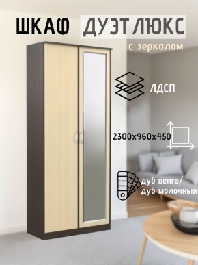 Шкаф 2-х створчатый Дуэт Люкс с зеркалом в Нижневартовске - nizhnevartovsk.mebel24.online | фото