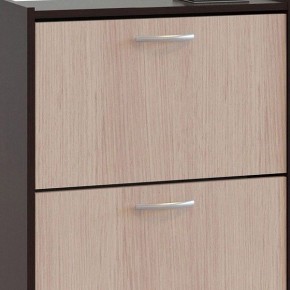 Шкаф для обуви ТО-24 в Нижневартовске - nizhnevartovsk.mebel24.online | фото 4