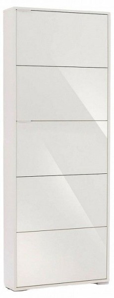 Шкаф для обуви Viva-5S в Нижневартовске - nizhnevartovsk.mebel24.online | фото