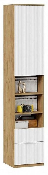 Шкаф комбинированный Хилтон Исп. 2 в Нижневартовске - nizhnevartovsk.mebel24.online | фото 4