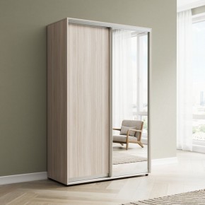 Шкаф-купе Акцент-Сим ДЗ 1000-600 в Нижневартовске - nizhnevartovsk.mebel24.online | фото 6