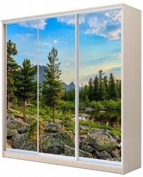 Шкаф-купе ХИТ 22-20-777 ПРИРОДА в Нижневартовске - nizhnevartovsk.mebel24.online | фото