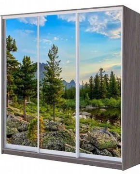 Шкаф-купе ХИТ 22-4-20/2-777 ПРИРОДА в Нижневартовске - nizhnevartovsk.mebel24.online | фото