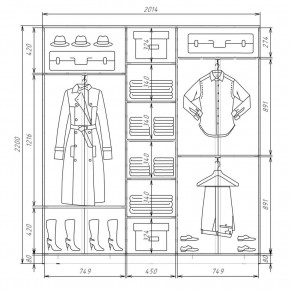 Шкаф-купе ХИТ 22-4-20-555 (420) в Нижневартовске - nizhnevartovsk.mebel24.online | фото 2