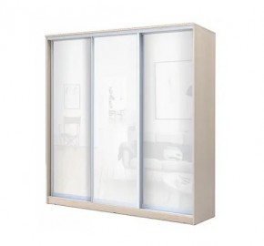 Шкаф-купе ХИТ 22-4-20-888 (420) в Нижневартовске - nizhnevartovsk.mebel24.online | фото 4