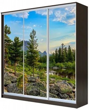 Шкаф-купе ХИТ 23-20-777 ПРИРОДА в Нижневартовске - nizhnevartovsk.mebel24.online | фото