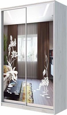 Шкаф-купе ХИТ 24-14-66 ЦАПЛИ в Нижневартовске - nizhnevartovsk.mebel24.online | фото