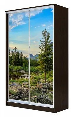 Шкаф-купе ХИТ 24-15-77 ПРИРОДА в Нижневартовске - nizhnevartovsk.mebel24.online | фото