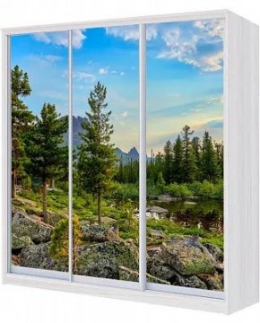 Шкаф-купе ХИТ 24-18/2-777 ПРИРОДА в Нижневартовске - nizhnevartovsk.mebel24.online | фото