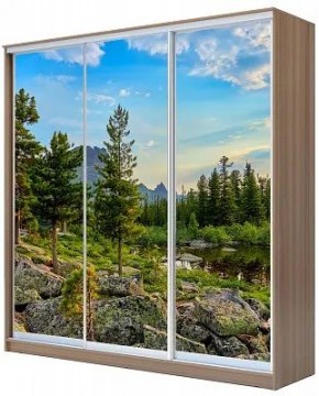 Шкаф-купе ХИТ 24-18-777 ПРИРОДА в Нижневартовске - nizhnevartovsk.mebel24.online | фото