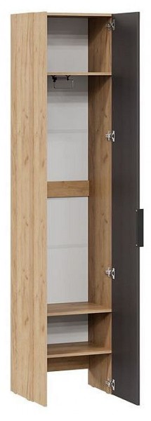 Шкаф платяной Асти в Нижневартовске - nizhnevartovsk.mebel24.online | фото 2