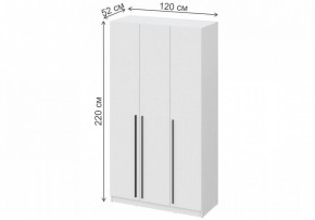 Шкаф платяной Бирма ШК-1200 в Нижневартовске - nizhnevartovsk.mebel24.online | фото 4
