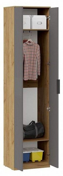 Шкаф платяной Хилтон Исп. 2 в Нижневартовске - nizhnevartovsk.mebel24.online | фото 3