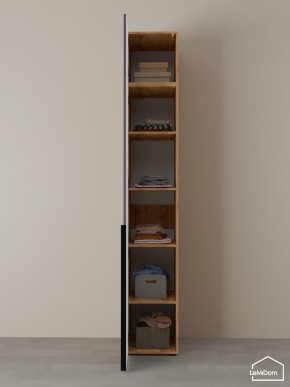 Шкаф с антресолью Linnea MHR-1A-2 2450х400х510 (ДВ-М 11.1.25) в Нижневартовске - nizhnevartovsk.mebel24.online | фото 4