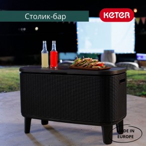 Стол Беви Бар (Bevy Bar Large Cool Bar), графит в Нижневартовске - nizhnevartovsk.mebel24.online | фото 4