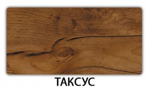 Стол обеденный Трилогия пластик Таксус в Нижневартовске - nizhnevartovsk.mebel24.online | фото 18