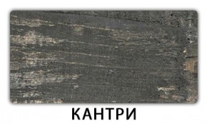 Стол обеденный Трилогия пластик Таксус в Нижневартовске - nizhnevartovsk.mebel24.online | фото 8