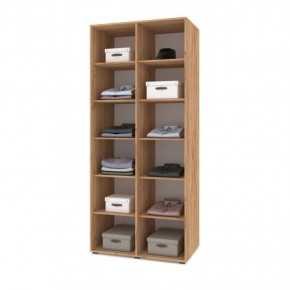 СТОУН С23 Шкаф 2-х створчатый (дуб золотой/графит) в Нижневартовске - nizhnevartovsk.mebel24.online | фото 3