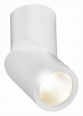 Светильник на штанге ST-Luce ST650 ST650.532.10 в Нижневартовске - nizhnevartovsk.mebel24.online | фото 3