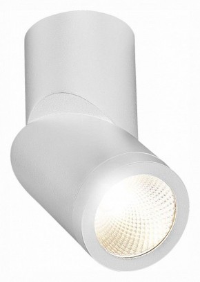 Светильник на штанге ST-Luce ST650 ST650.542.10 в Нижневартовске - nizhnevartovsk.mebel24.online | фото 3