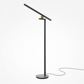 Торшер Maytoni Emphaty MOD363FL-L14B3K в Нижневартовске - nizhnevartovsk.mebel24.online | фото 2