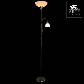 Торшер с подсветкой Arte Lamp Duetto A9569PN-2AB в Нижневартовске - nizhnevartovsk.mebel24.online | фото 3