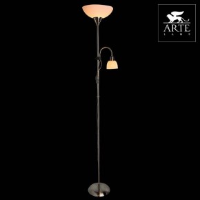 Торшер с подсветкой Arte Lamp Duetto A9569PN-2SS в Нижневартовске - nizhnevartovsk.mebel24.online | фото 3