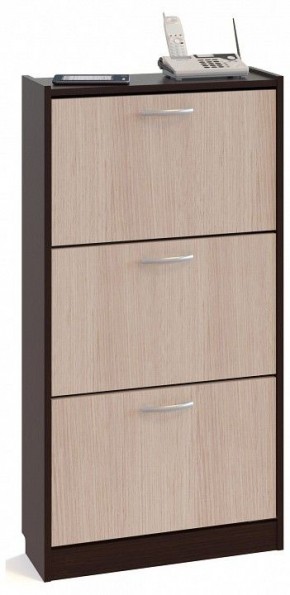 Тумба для обуви ТО-23 в Нижневартовске - nizhnevartovsk.mebel24.online | фото