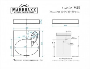 Умывальник над стиральной машиной (600*545*80) Смайл V55D1 (белый) с кронштейном без сифона (V55D1) в Нижневартовске - nizhnevartovsk.mebel24.online | фото 2