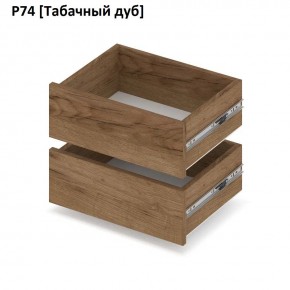 РОЛАНД Выдвижные ящики  Р76 в Нижневартовске - nizhnevartovsk.mebel24.online | фото 10
